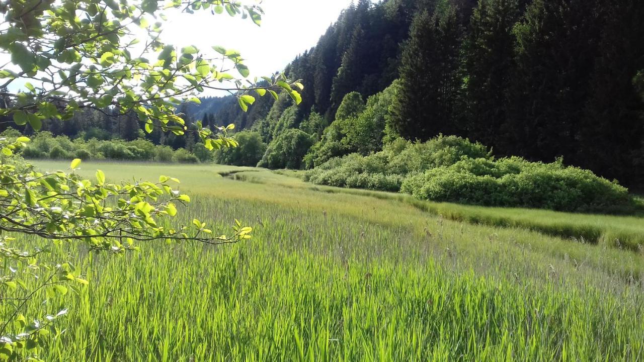 Apartma Kramar Podkoren Kranjska Gora Zewnętrze zdjęcie