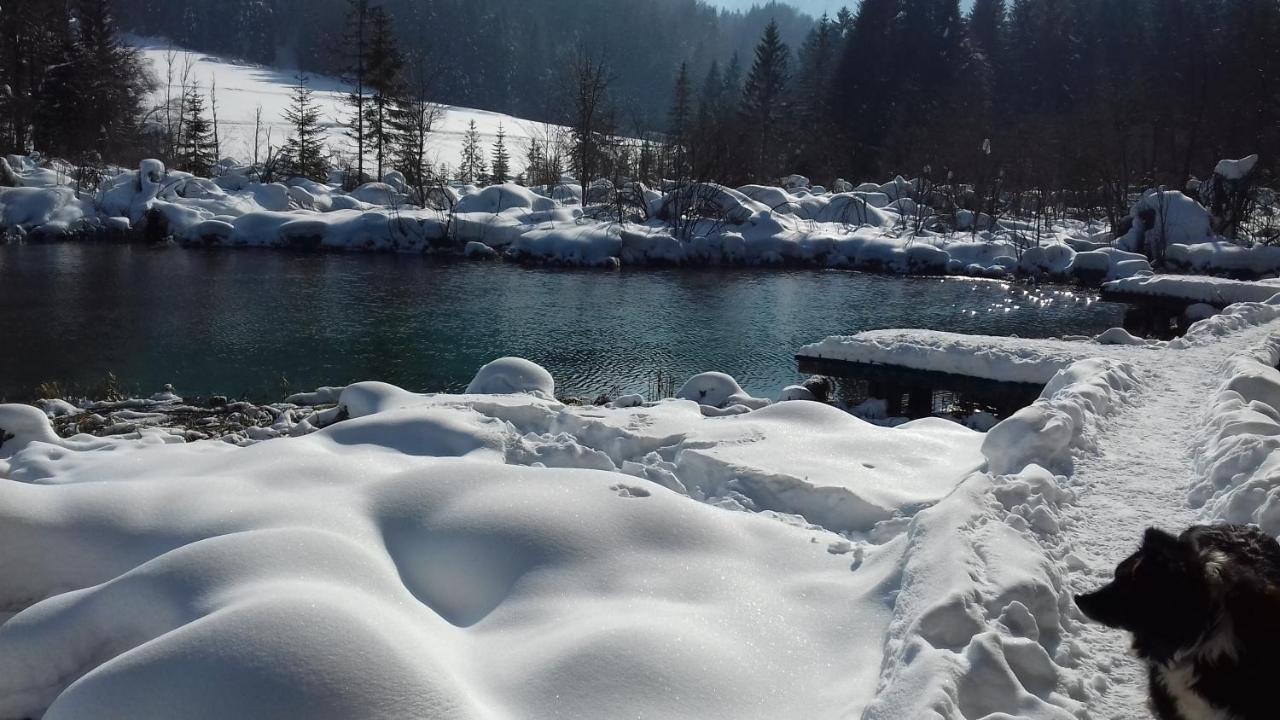 Apartma Kramar Podkoren Kranjska Gora Zewnętrze zdjęcie