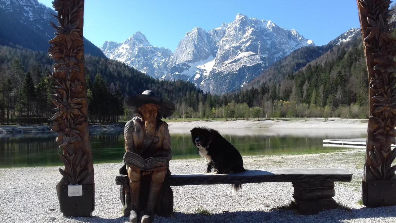 Apartma Kramar Podkoren Kranjska Gora Zewnętrze zdjęcie